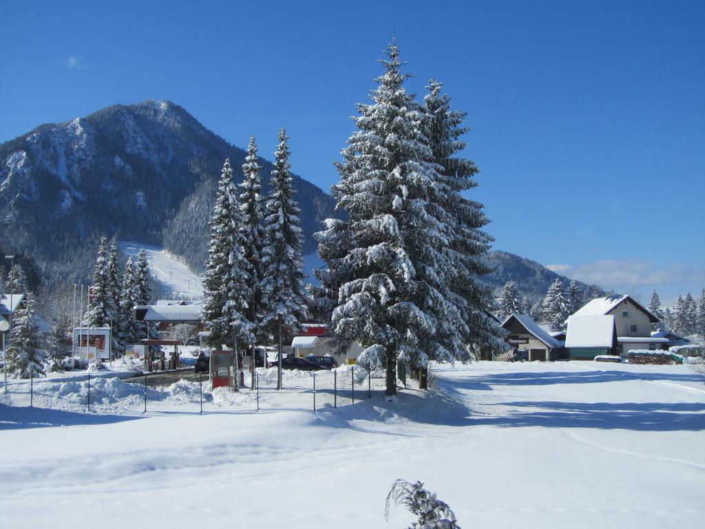 Apartments And Rooms Milena Kranjska Gora Szoba fotó